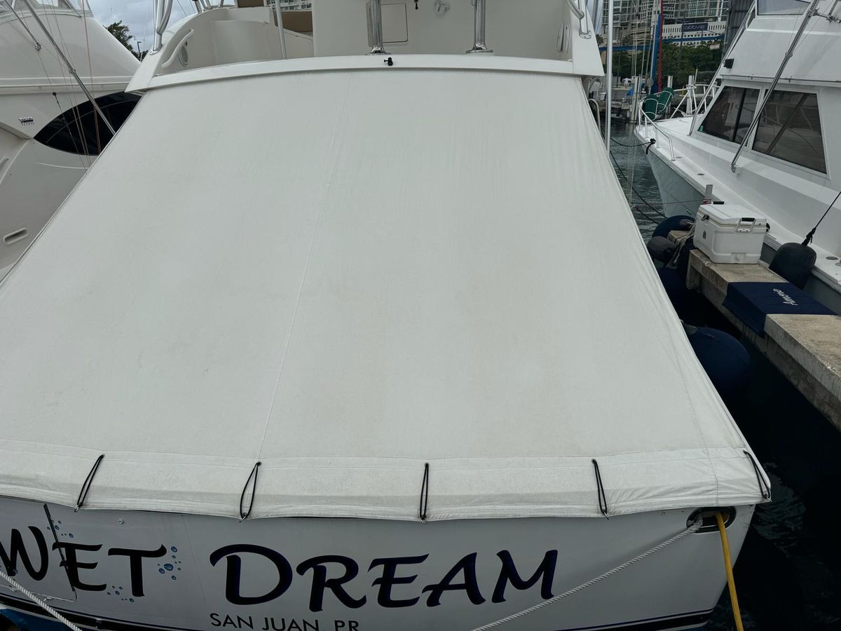 2010 Viking 54 