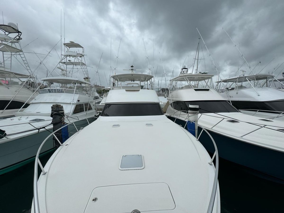 2010 Viking 54 