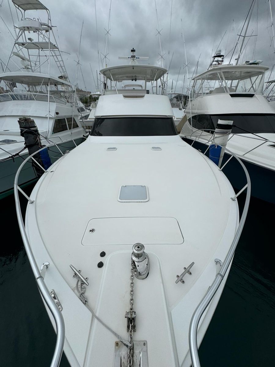 2010 Viking 54 
