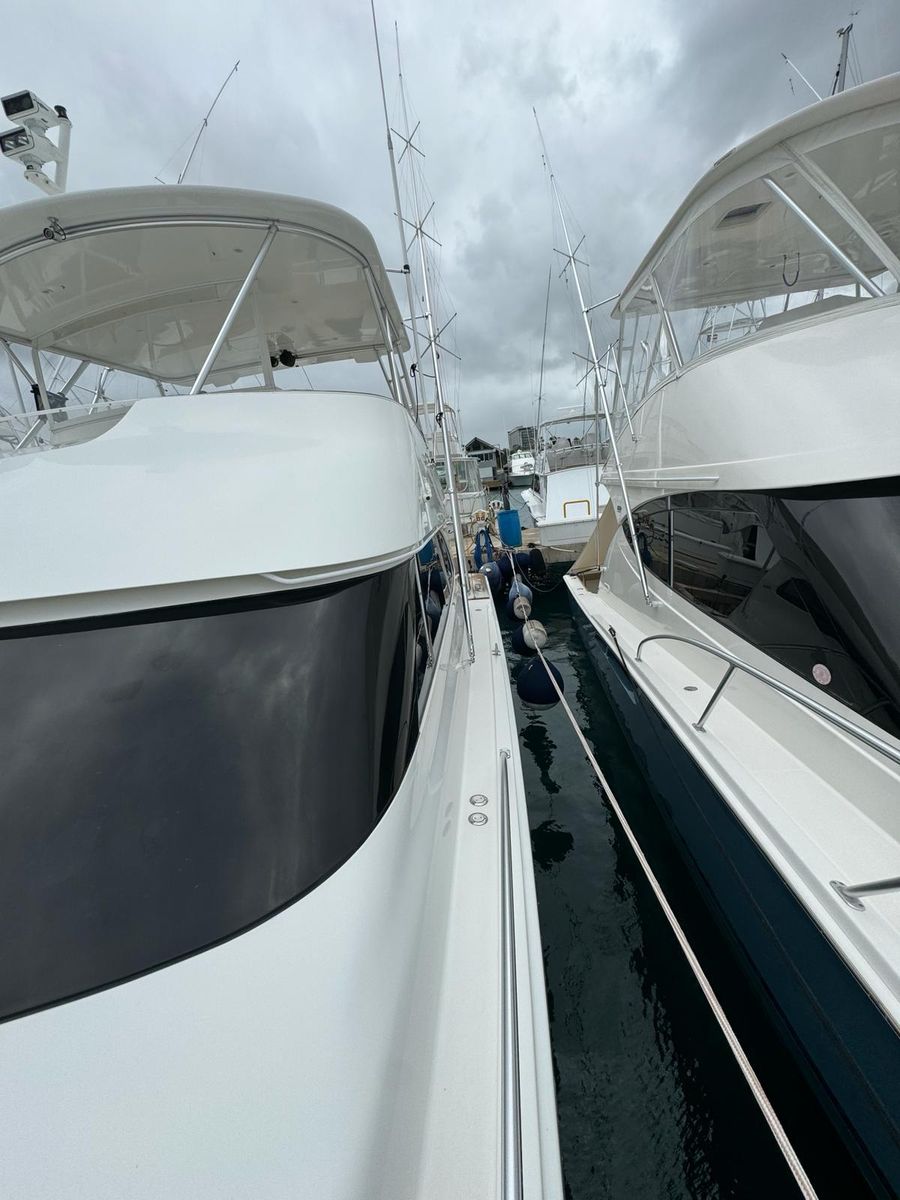 2010 Viking 54 