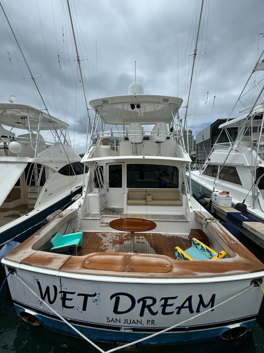 2010 Viking 54 