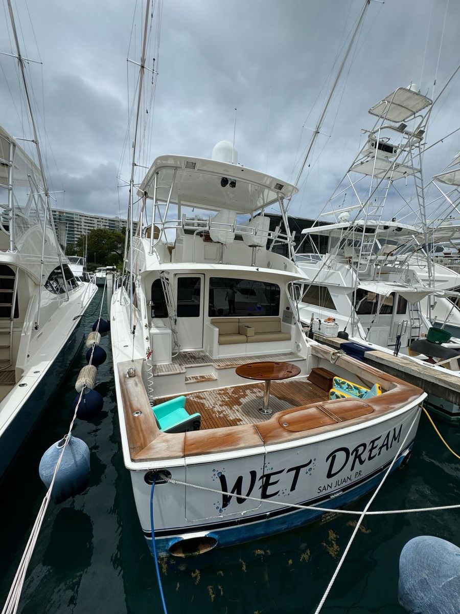 2010 Viking 54 