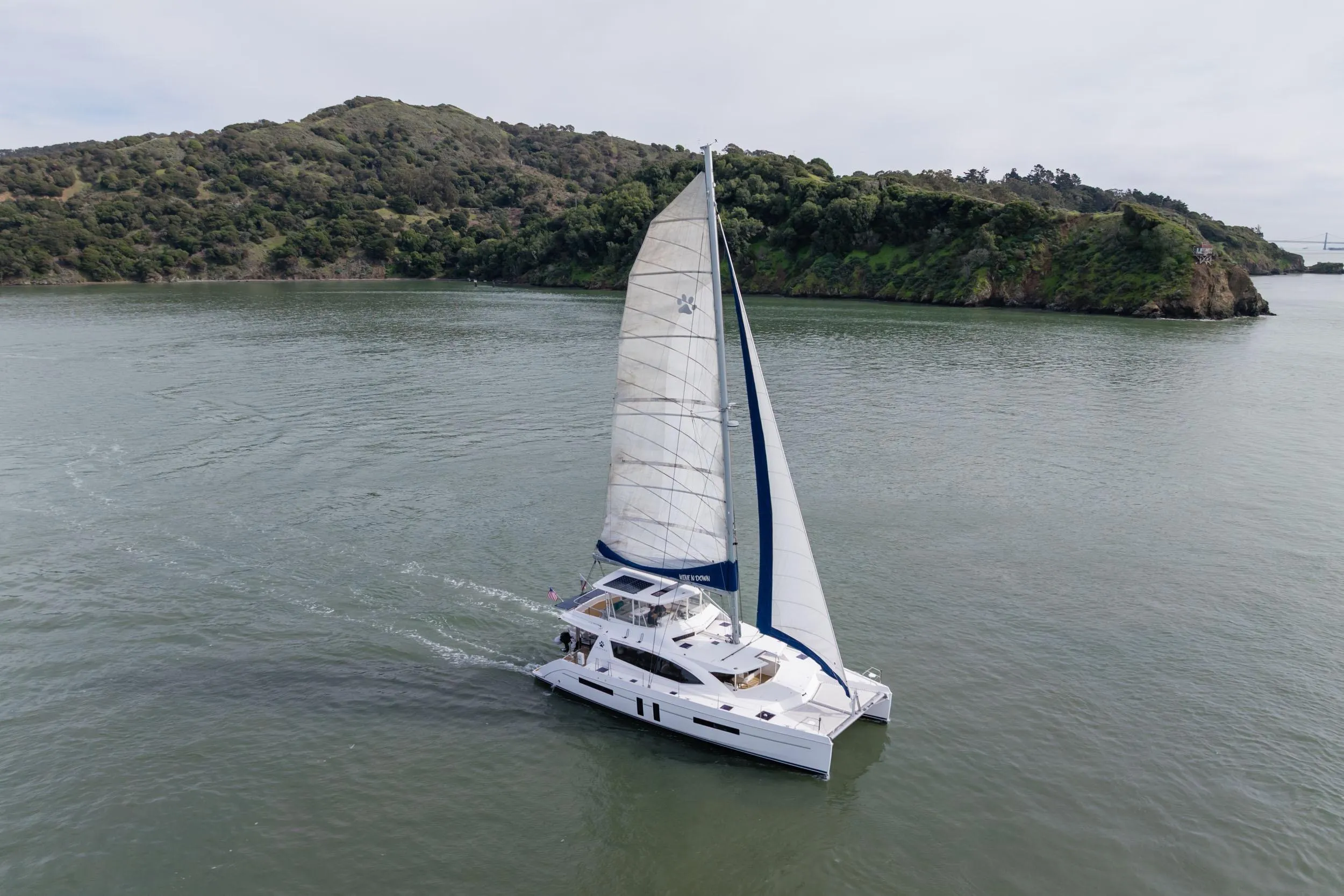 Sailing catamaran Leopard 58, 2015 model, cruising near lush green island.