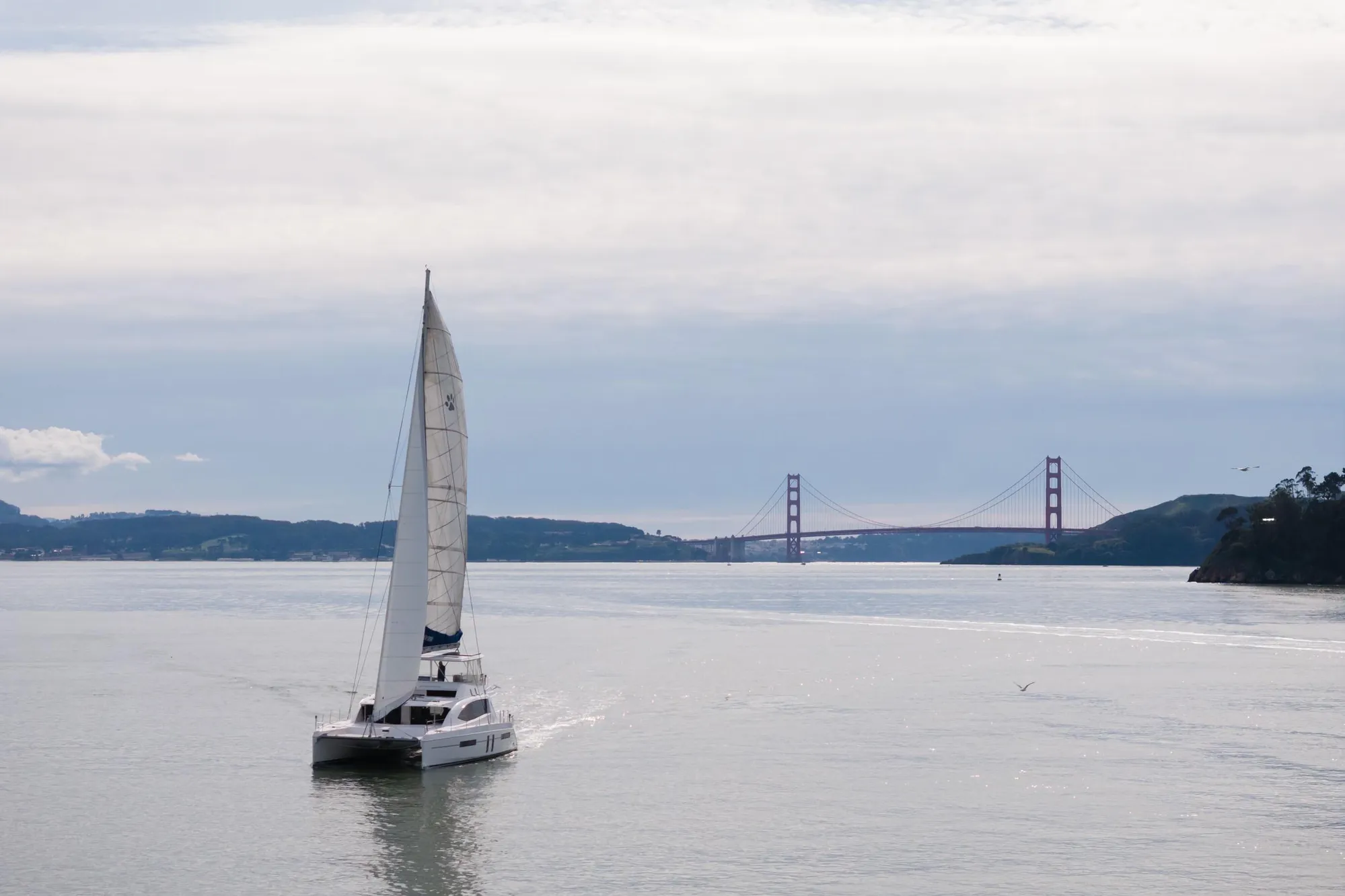 Sailing catamaran Leopard 58 near Golden Gate Bridge, 2015.
