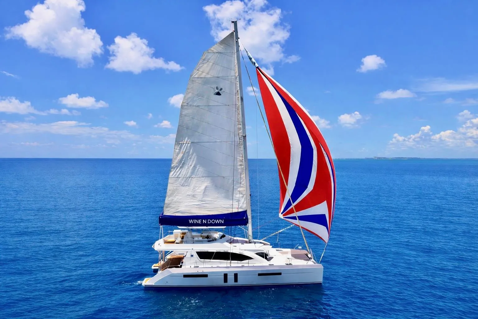 Sailing catamaran Leopard 58, 2015 model, with vibrant sails on open ocean.