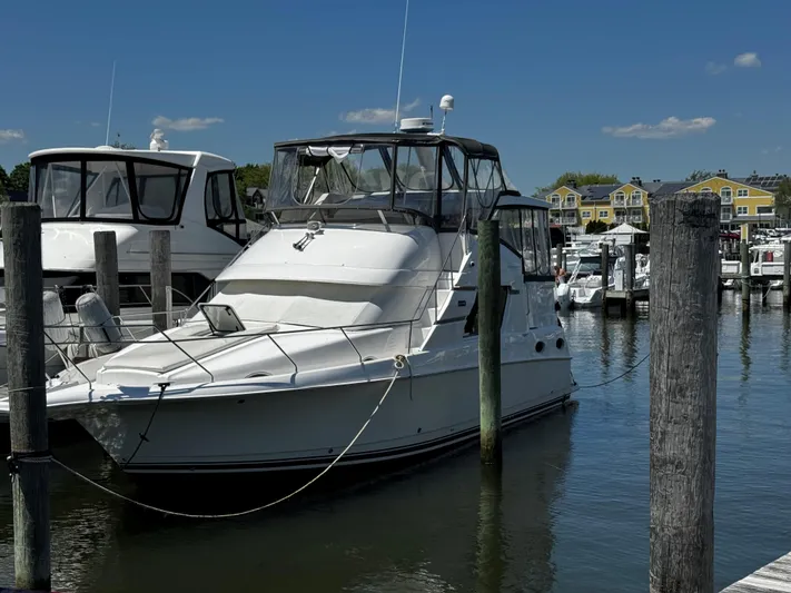Bits And Bites Yacht Photos Pics 