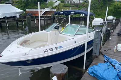 Chaparral Sunesta 236