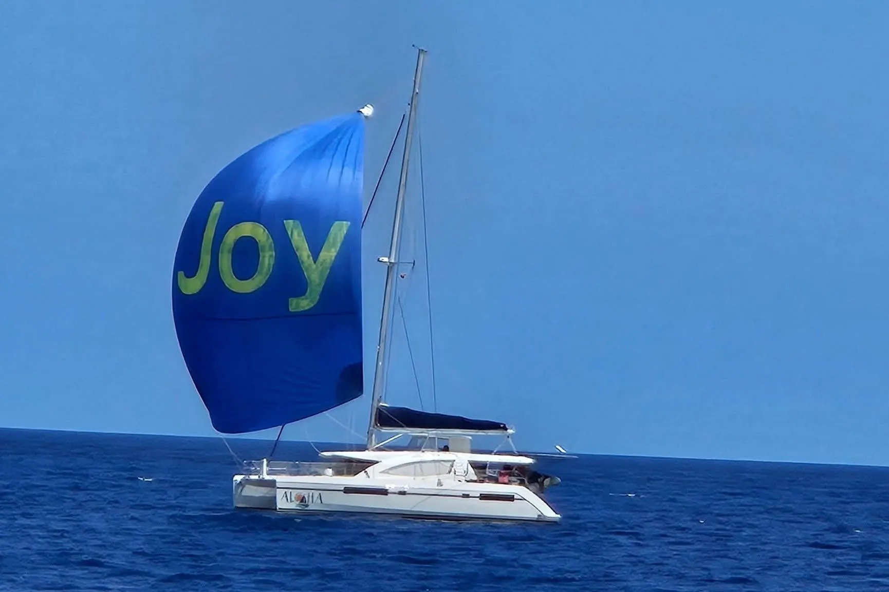 Sailing catamaran Leopard 48 with blue "Joy" sail on open sea, 2013 model.
