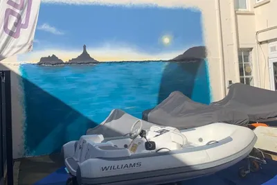 2014 Williams Jet Tenders 285