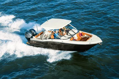 Scout 255 Dorado