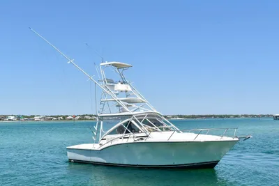 Carolina Classic 32