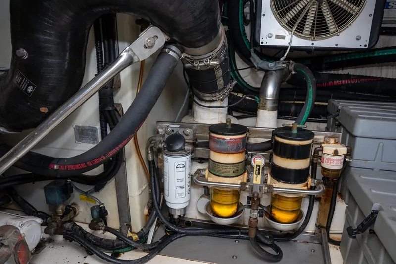 The Real D Yacht Photos Pics 