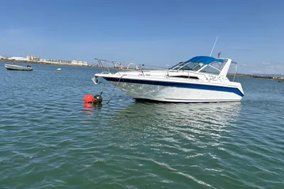 1991 Sea Ray -