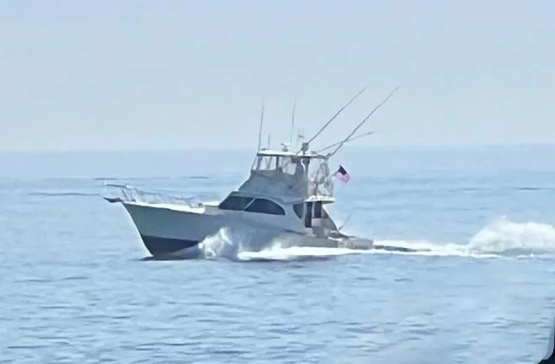 Harberascal Yacht Photos Pics 