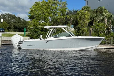 Blackfin 302DC