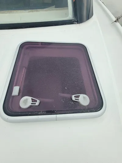 All In Yacht Photos Pics 