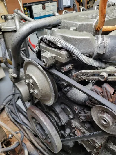 All In Yacht Photos Pics 