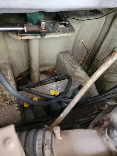 All In Yacht Photos Pics 