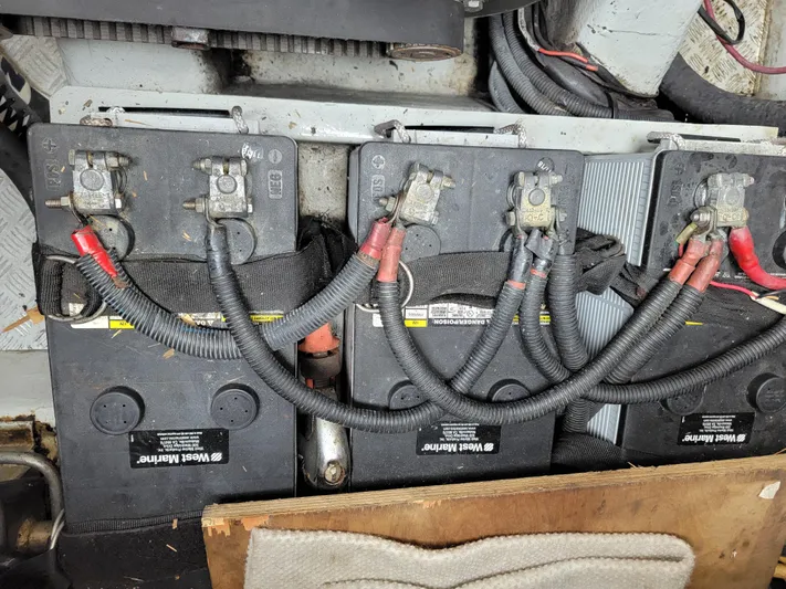 All In Yacht Photos Pics 