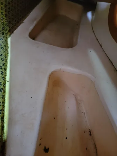 All In Yacht Photos Pics 