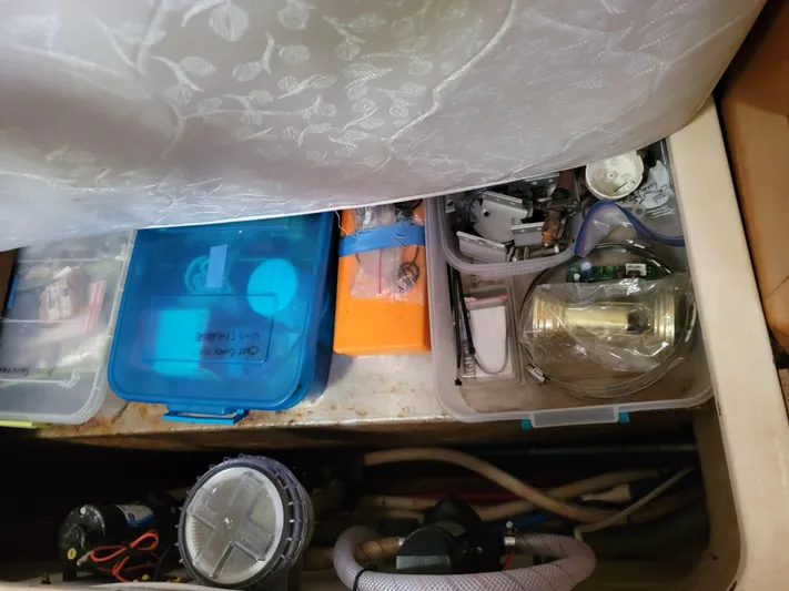 All In Yacht Photos Pics 