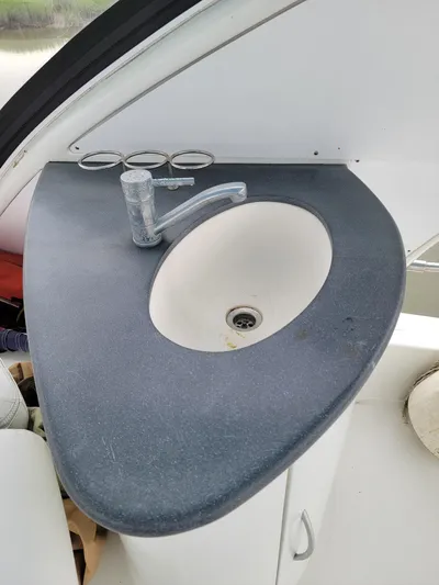 All In Yacht Photos Pics Boat bathroom sink on 2003 Robertson & Caine Lion 46 yacht.