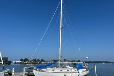 Tayana Tayana 37