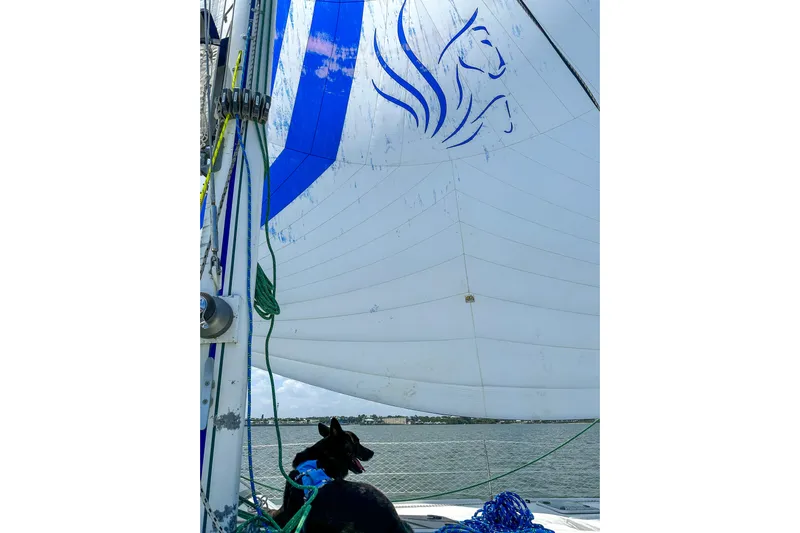 Mystic Yacht Photos Pics Sailboat Privilege 435 (2001) with blue sail design and dog on deck.