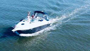 2002 Crownline 290 CR