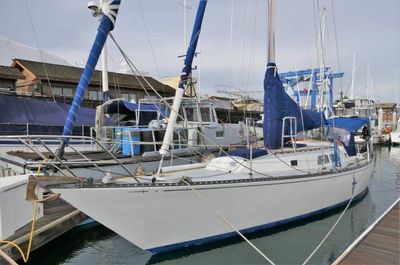 Newport 41