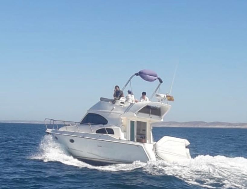 2007 Altair 10 CR / FR