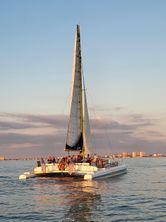Robertson Custom Catamaran / Sloop Rig