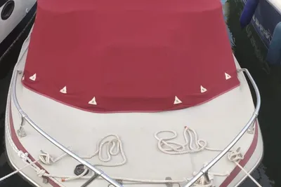 1984 Glastron LARAYA