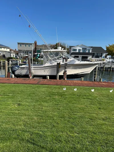 Happy Ours Yacht Photos Pics 