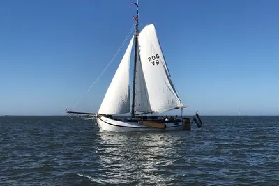 1993 Lemsteraak Zonnewind - Roefuitvoering