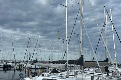 2019 Dehler 29