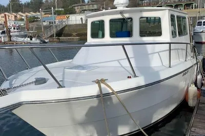 2001 Rampage 30 Express