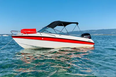 2019 Hellwig V 485
