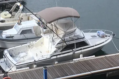 1991 Bertram 28