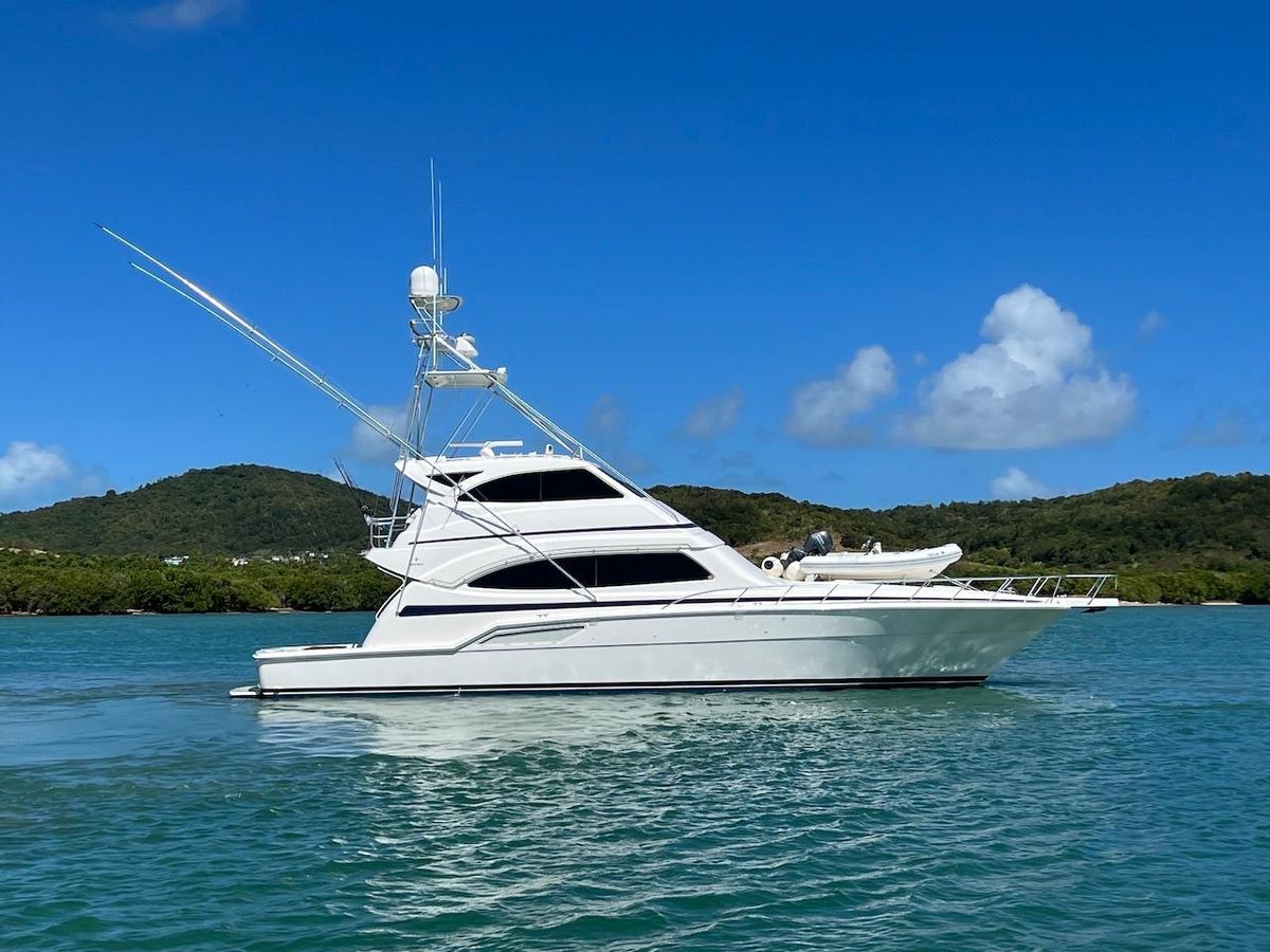 2004 Bertram 67 