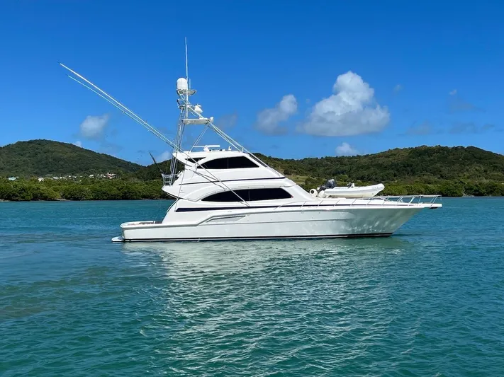  Yacht Photos Pics 2004 Bertram 670 yacht on clear blue water with scenic background.