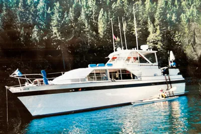 Chris-Craft Constellation