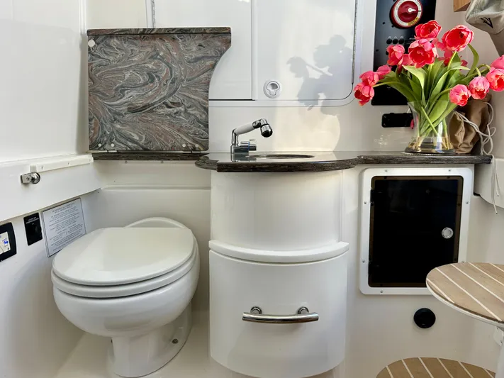 Virago Yacht Photos Pics Head