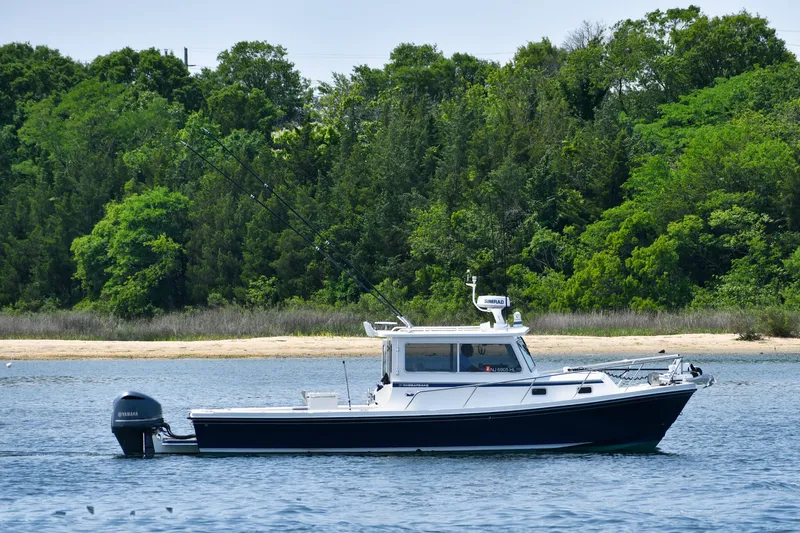  Yacht Photos Pics 2021 Steiger Craft 31 Chesapeake boat on water near lush green shoreline.