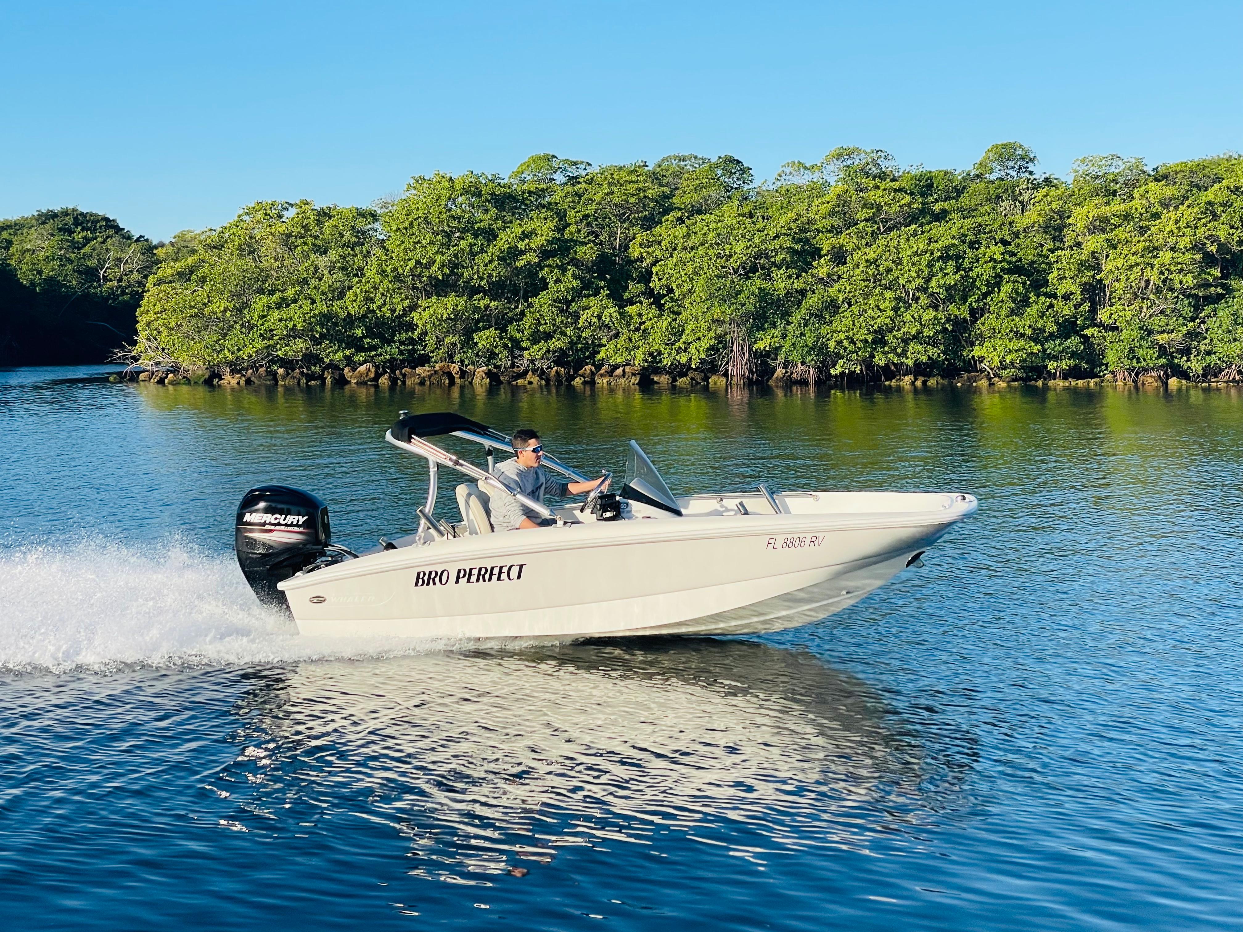 2018 Boston Whaler 150 Super Sport Runabout for sale - YachtWorld