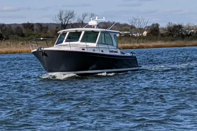 Back Cove 39O
