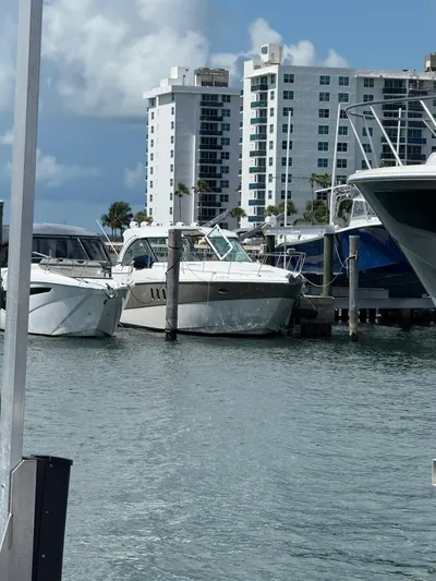  Yacht Photos Pics 2009 Cruisers Yachts 390 Sports Coupe docked in marina with buildings in background.