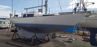 1980 Trintella 29