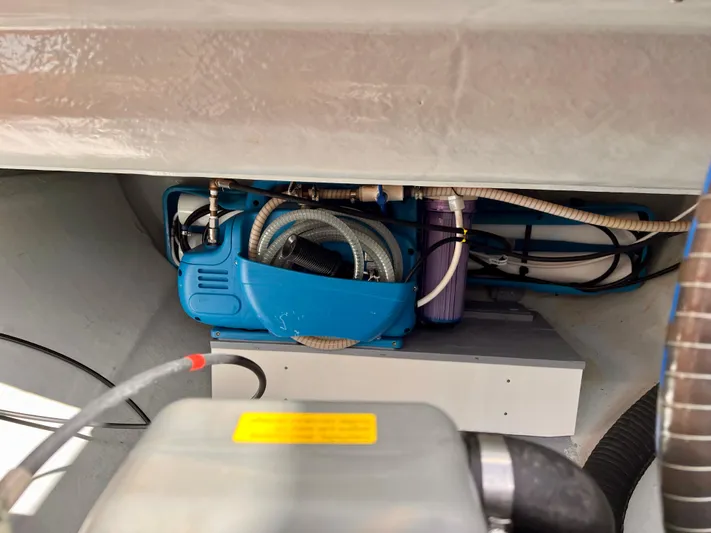 Spring Tradition Yacht Photos Pics 