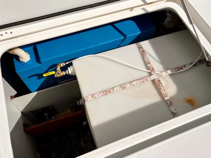 Spring Tradition Yacht Photos Pics 